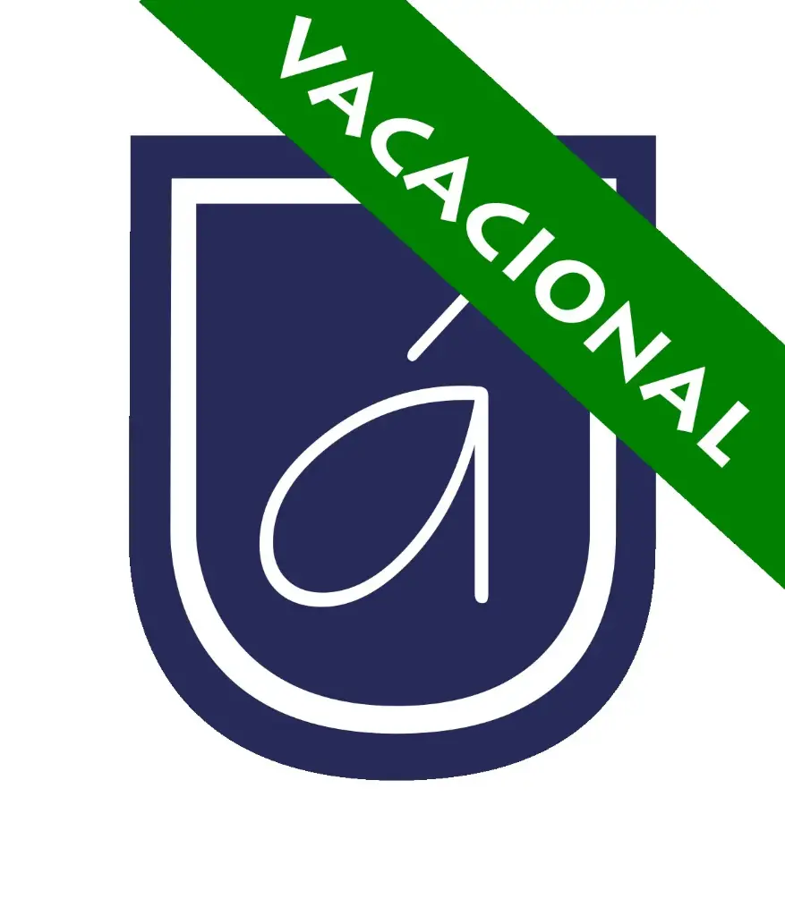 Registro Curso Vacacional